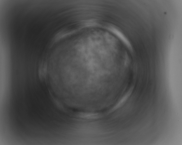 X0000100781289200807031223