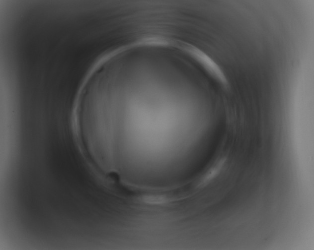 X0000100781291200807031223