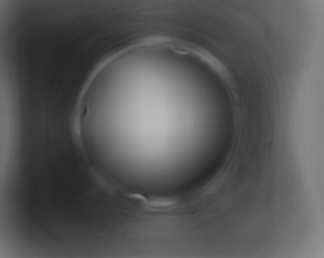 X0000100781296200807031223