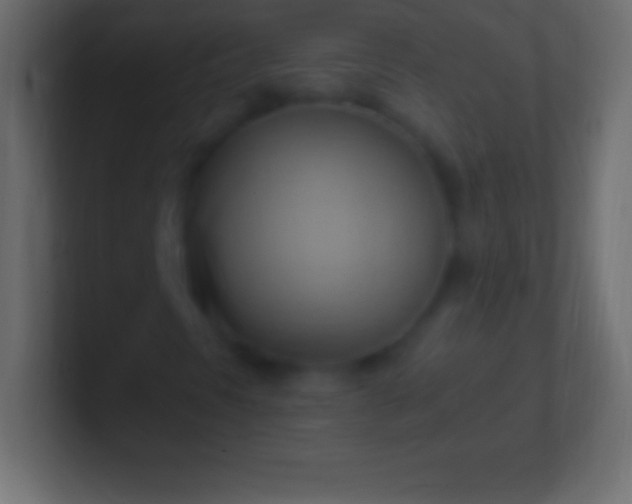 X0000100781297200807031223