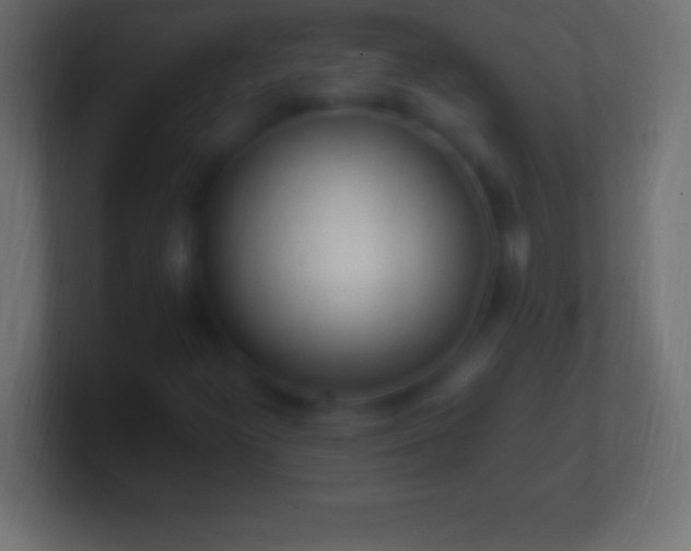 X0000100781300200807031223