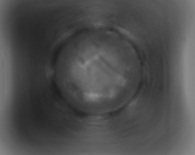 X0000100781302200807031223