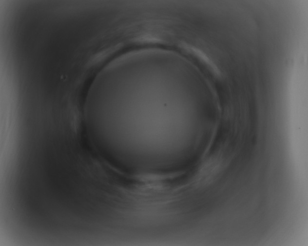 X0000100781303200807031223