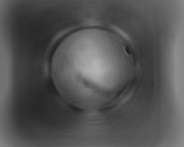 X0000100781310200807031223