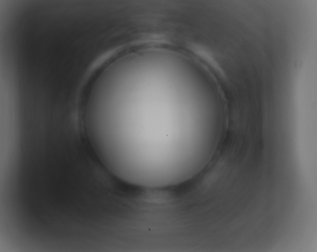 X0000100781312200807031223