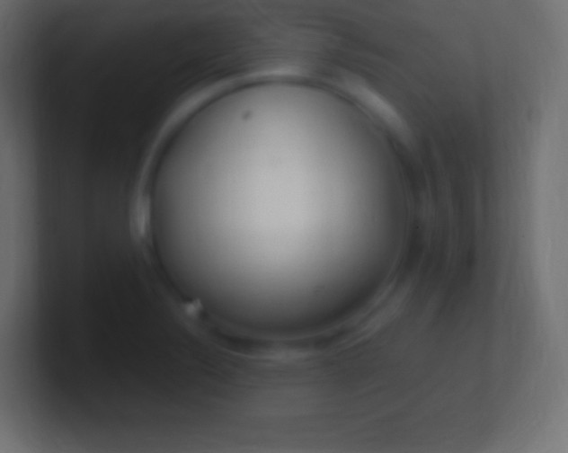 X0000100781324200807031223