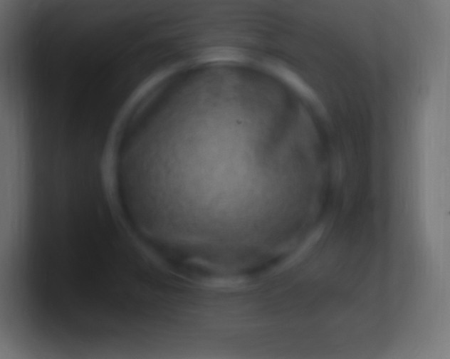 X0000100781325200807031223