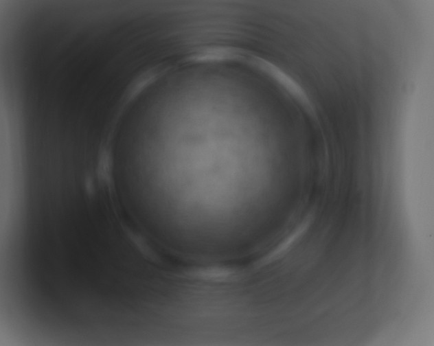 X0000100781329200807031223