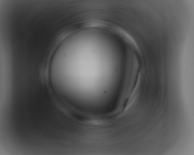 X0000100781330200807031223