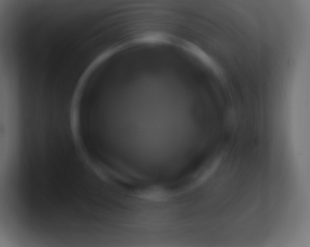 X0000100781331200807031223