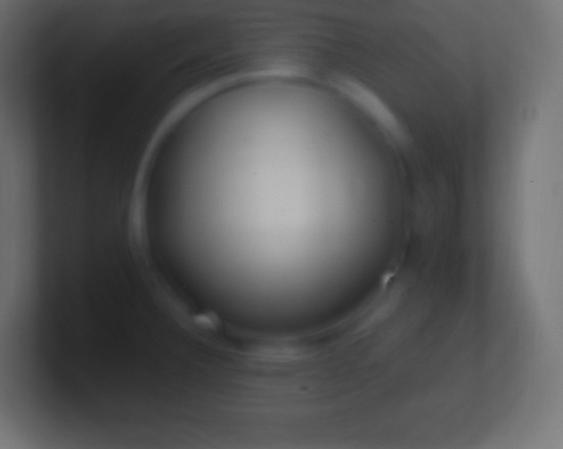 X0000100781332200807031223