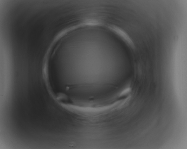 X0000100781334200807031223