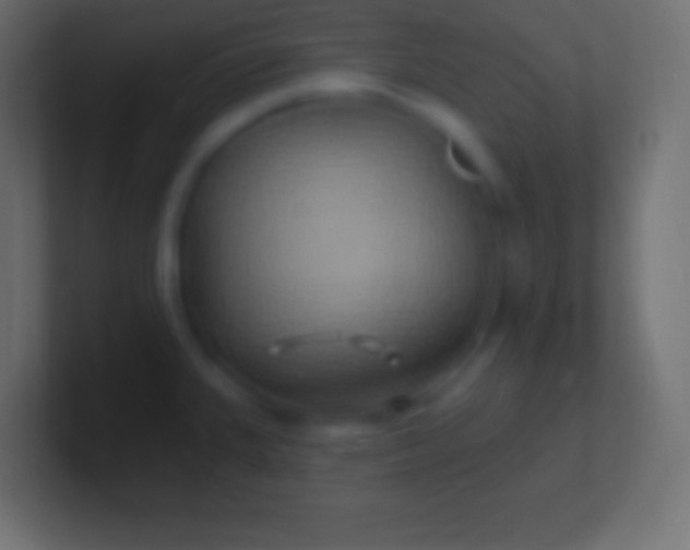 X0000100781335200807031223