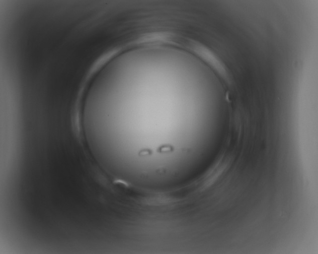 X0000100781336200807031223