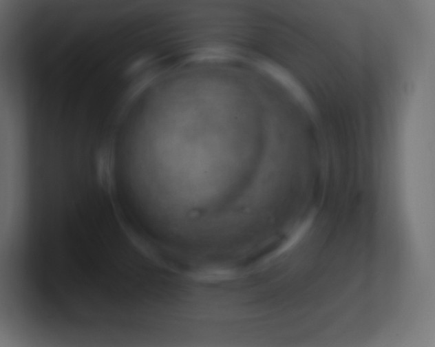 X0000100781337200807031223