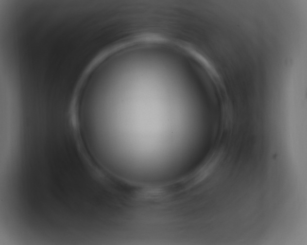 X0000100781342200807031223