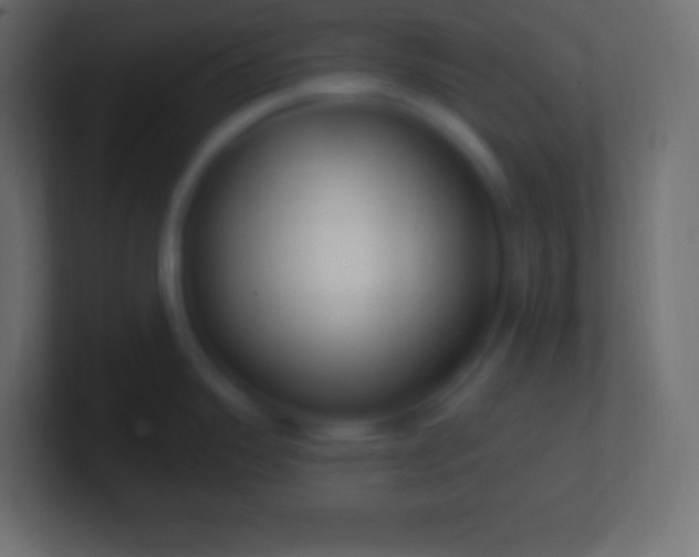 X0000100781343200807031223