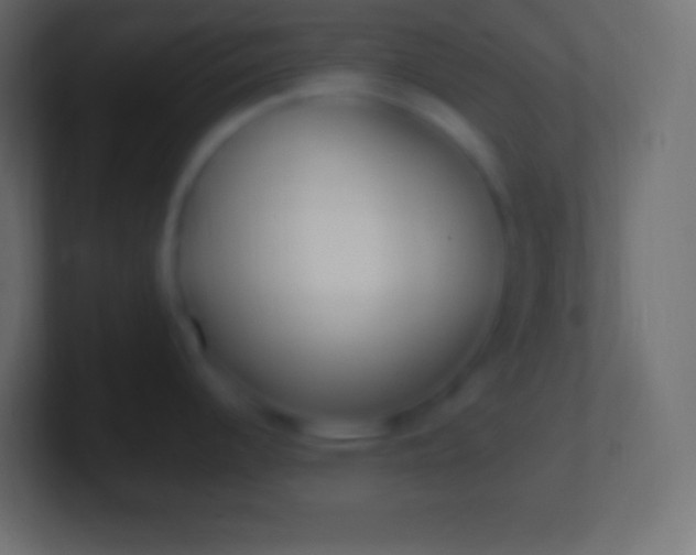 X0000100781344200807031223