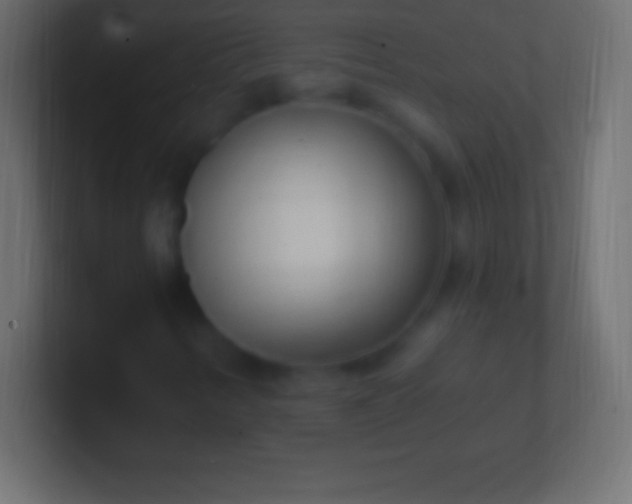 X0000100781346200807031223