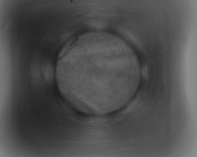 X0000100781347200807031223