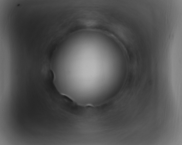 X0000100781349200807031222