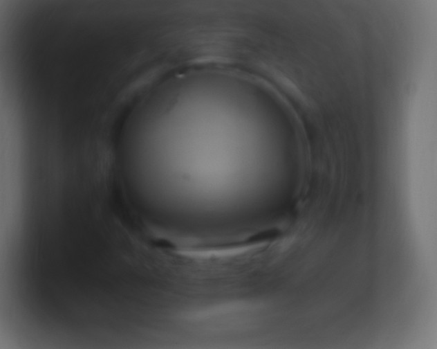 X0000100781351200807031222