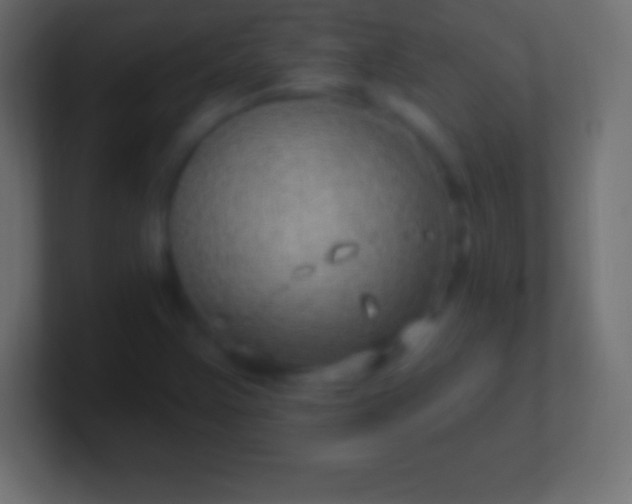 X0000100781355200807031222