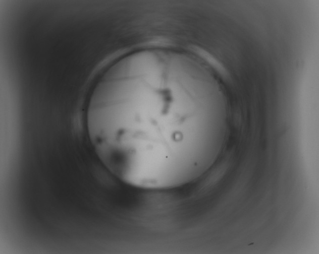 X0000100781356200807031222