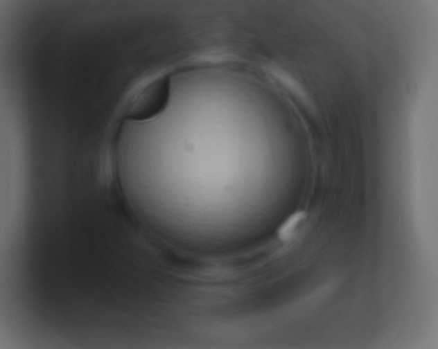 X0000100781358200807031222