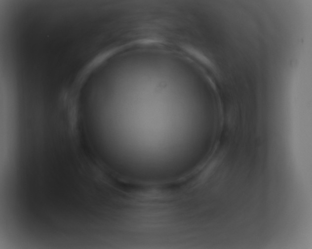 X0000100781359200807031222