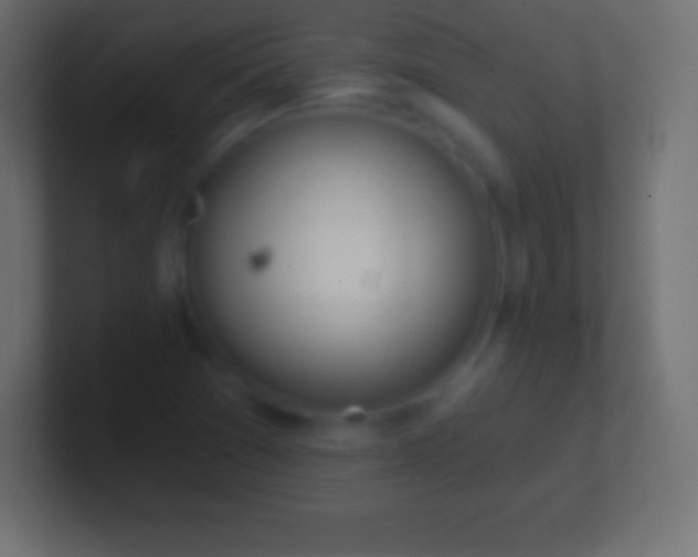 X0000100781361200807031222