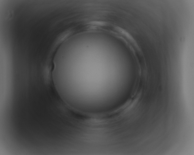 X0000100781362200807031222