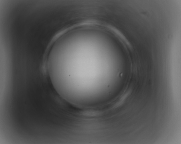 X0000100781366200807031222