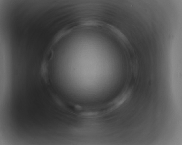 X0000100781369200807031222