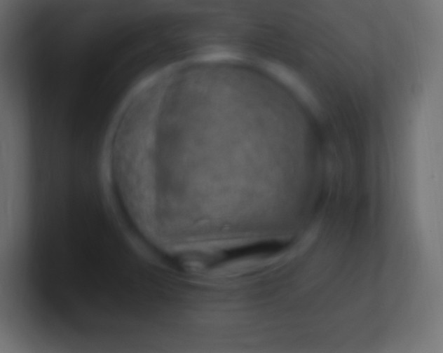 X0000100781375200807031222