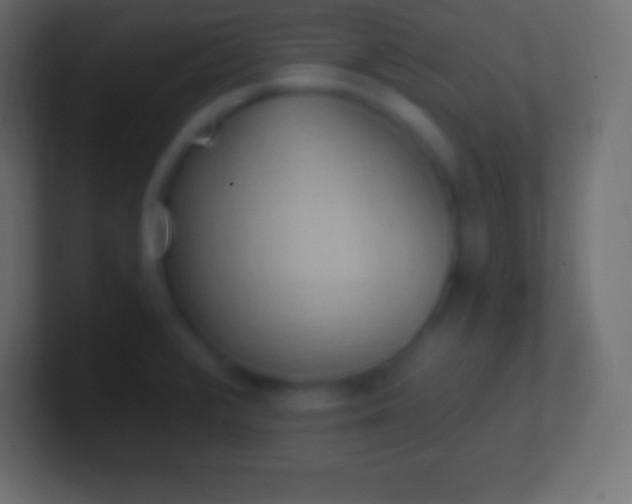 X0000100781376200807031222