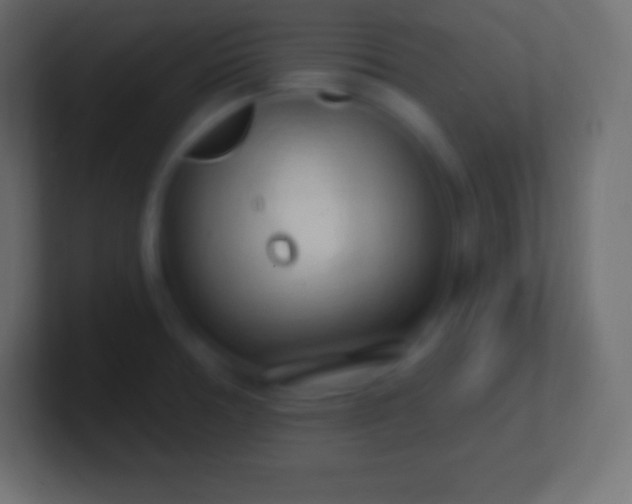 X0000100781378200807031222