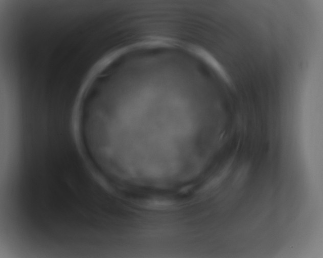 X0000100781379200807031222