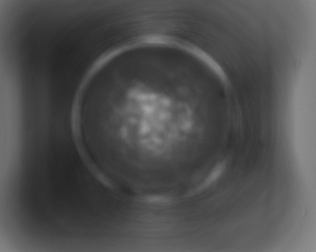 X0000100781381200807031222