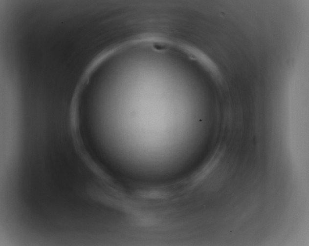 X0000100781382200807031222