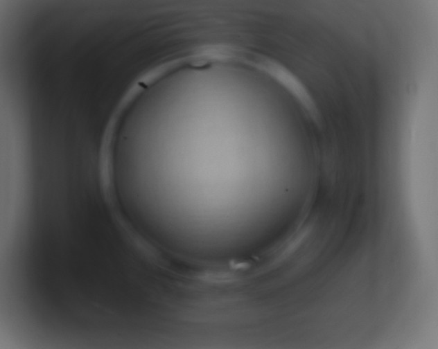 X0000100781384200807031222