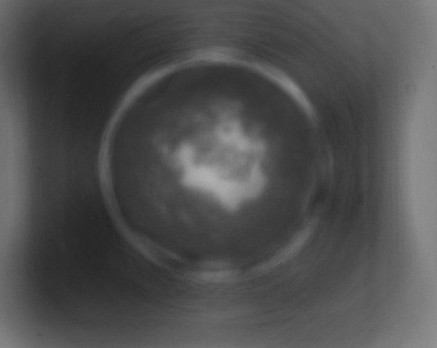 X0000100781389200807031222