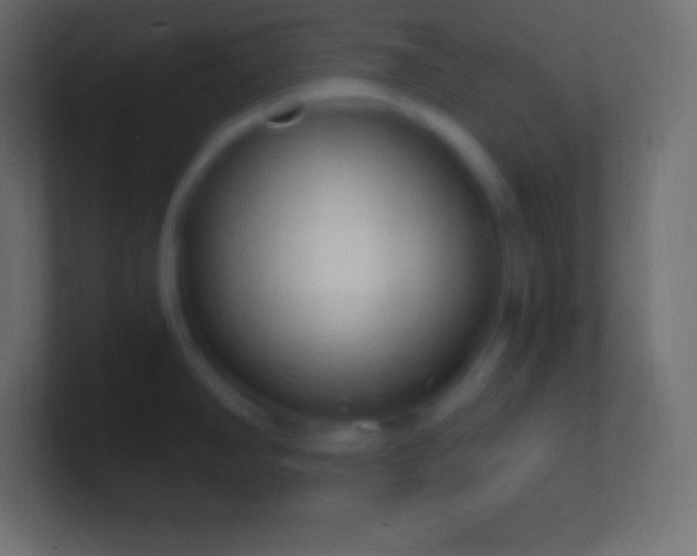 X0000100781390200807031222