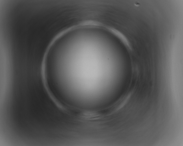 X0000100781391200807031222