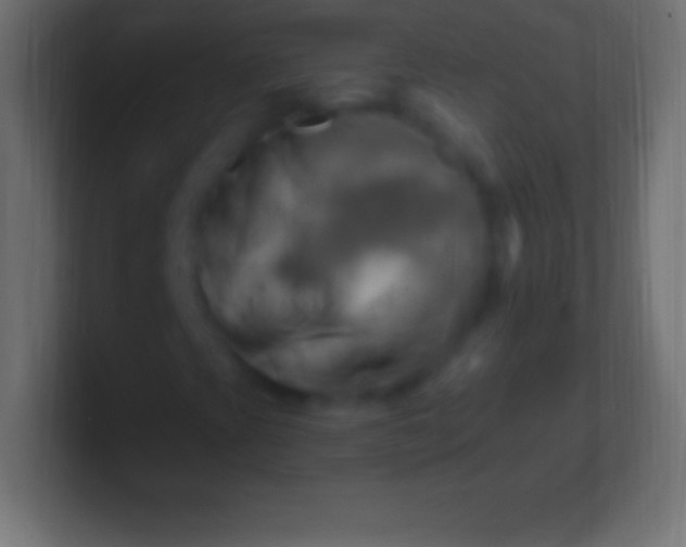 X0000100781393200807031221