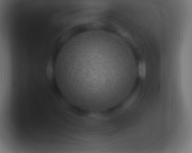 X0000100781395200807031221