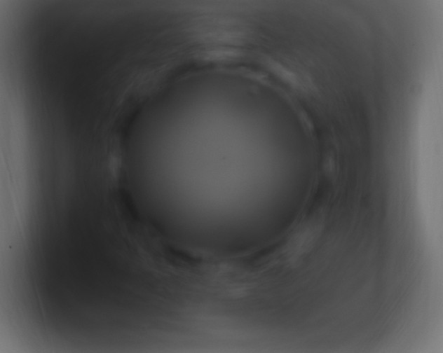 X0000100781397200807031221