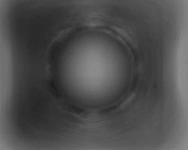 X0000100781398200807031221