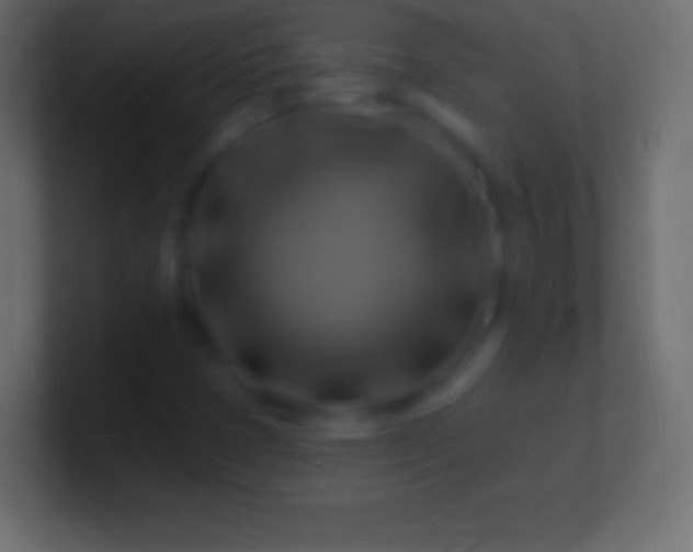 X0000100781401200807031221