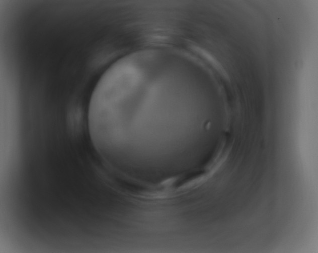 X0000100781402200807031221